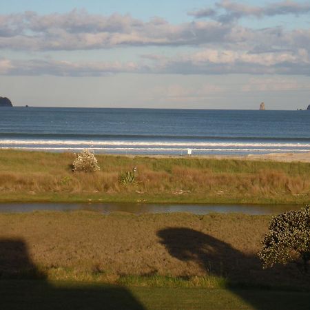 Absolute Beachview B & B Whitianga Extérieur photo
