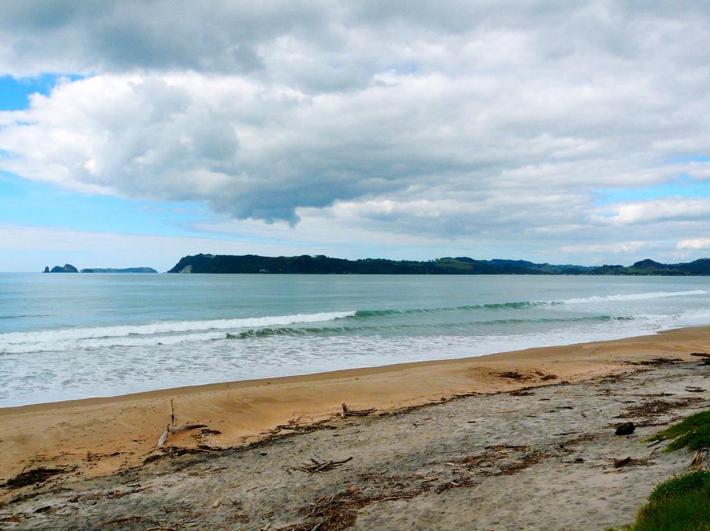 Absolute Beachview B & B Whitianga Extérieur photo