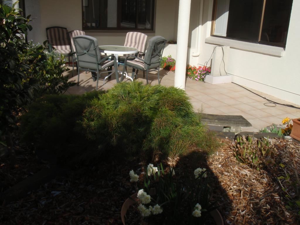 Absolute Beachview B & B Whitianga Extérieur photo