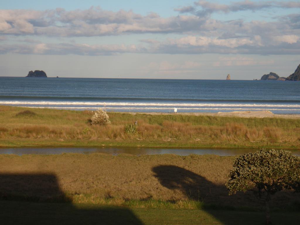 Absolute Beachview B & B Whitianga Extérieur photo